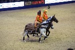 Quadrille - 00094